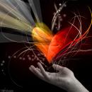 Chay-len-di-lua-tinh-yeu-truong-phi-bao-chuong-1 2